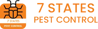 7-states-logo
