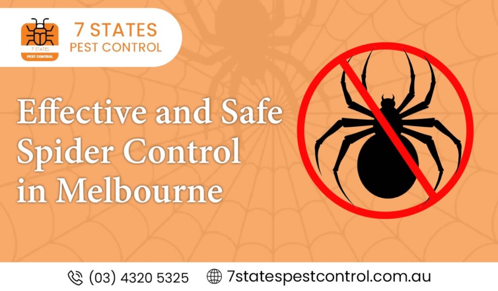 spider control in melbourne