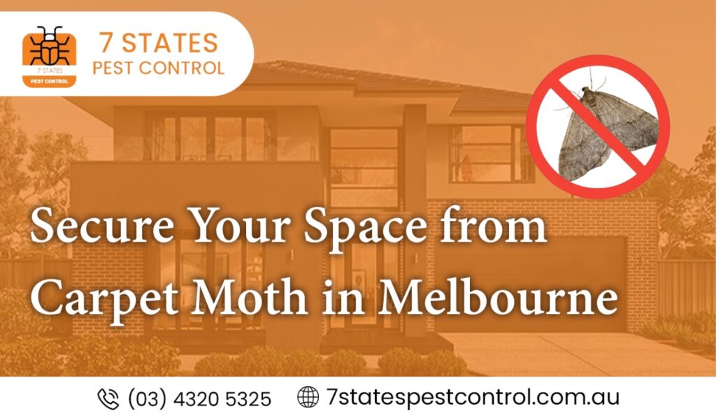  Safe & Effective Carpet Moth Treatment in Melbourne 
