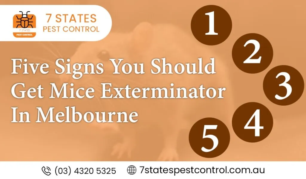  Five Signs You Should Get Mice Exterminator In Melbourne 