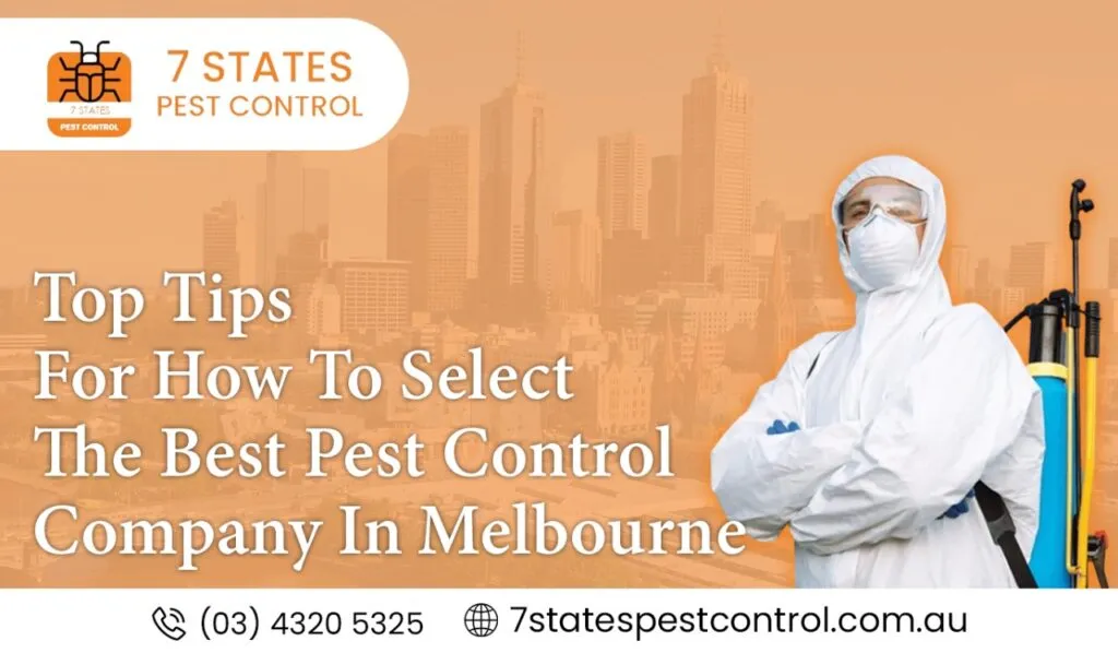  Top Tips For How To Select The Best Pest Control Company In Melbourne 
