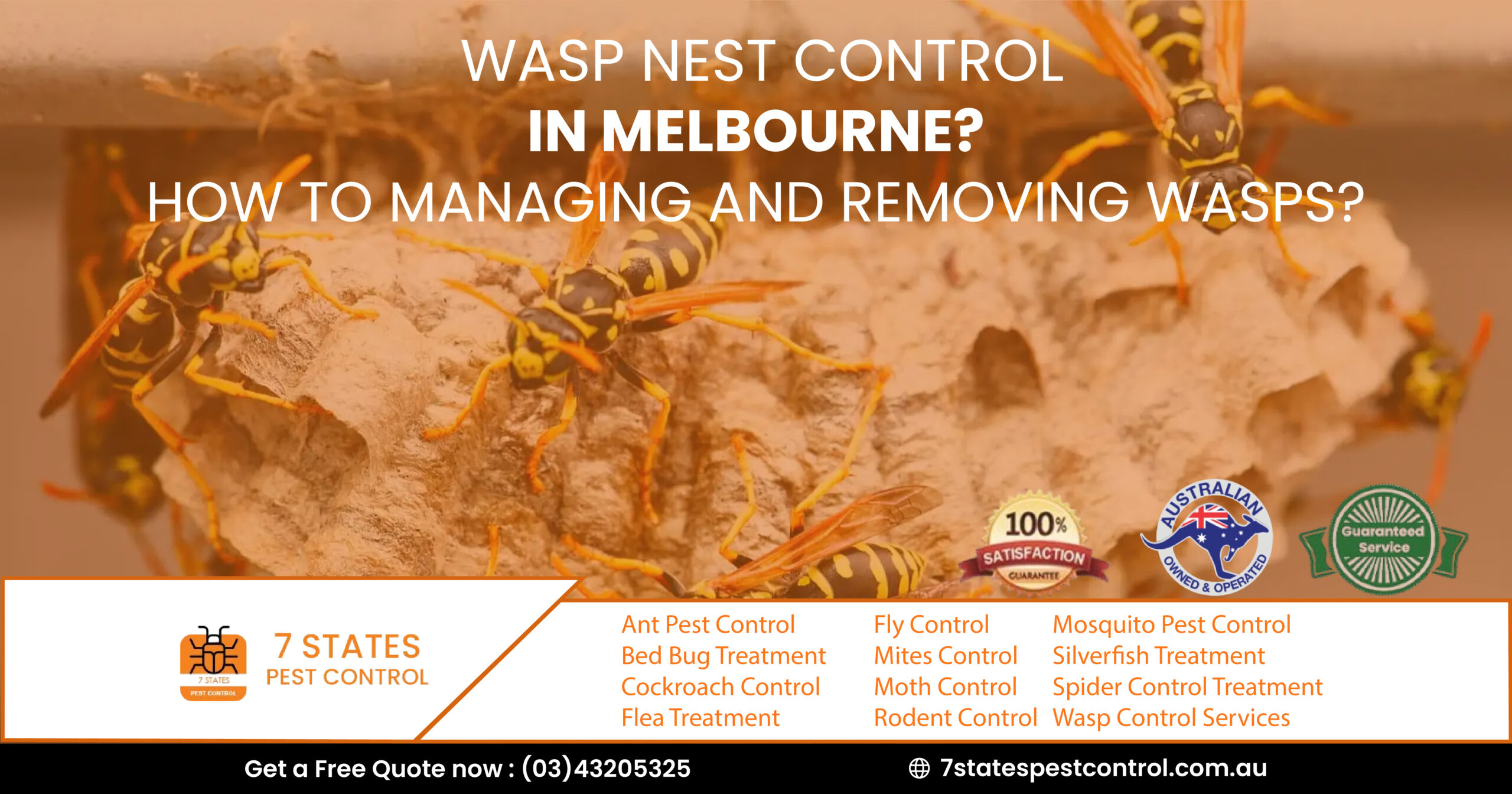 wasp nest control Melbourne