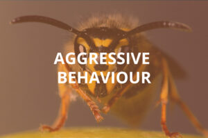 Aggressive Behaviour