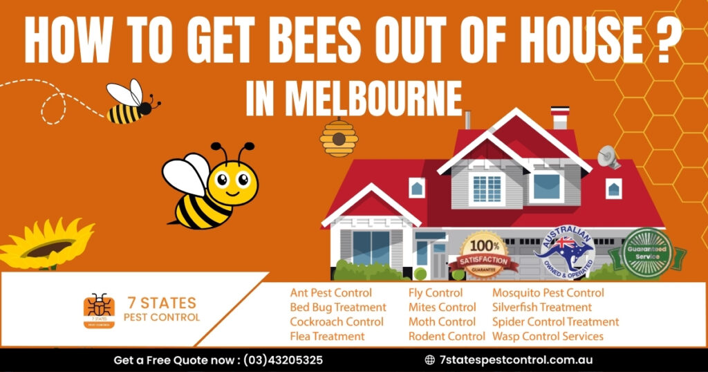  How to get bees out of house? 