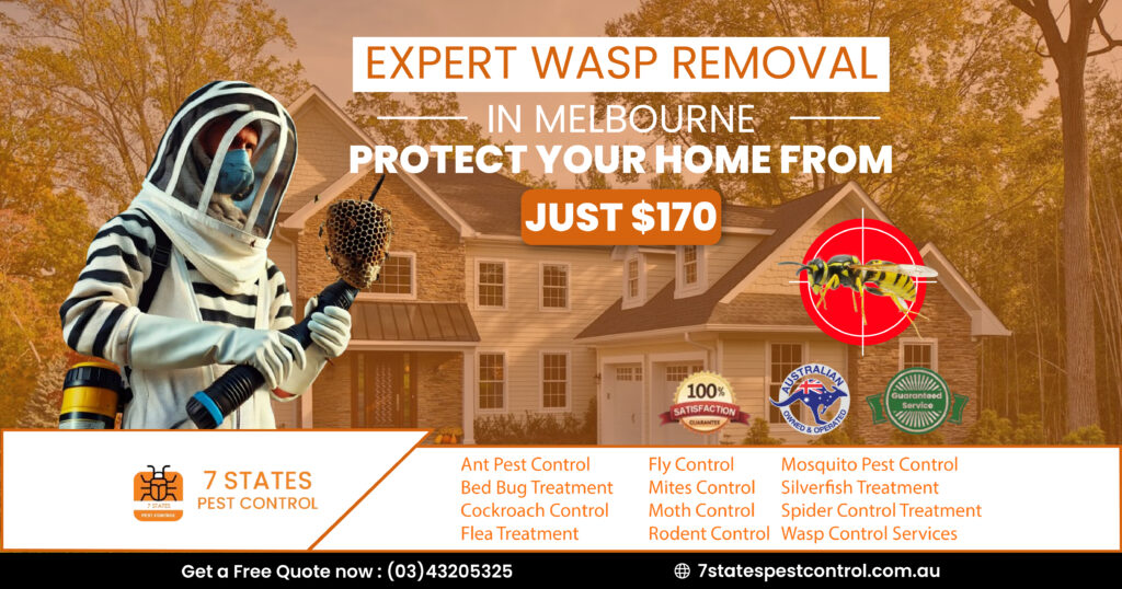  Wasp Removal in Melbourne with a Starting Price of Just $170. 