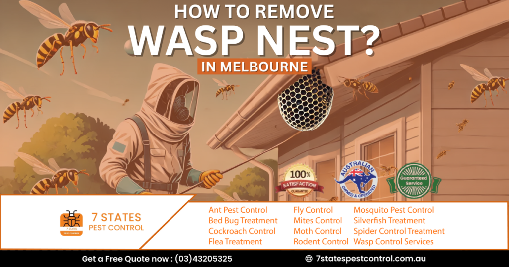  How to remove wasp nest? 