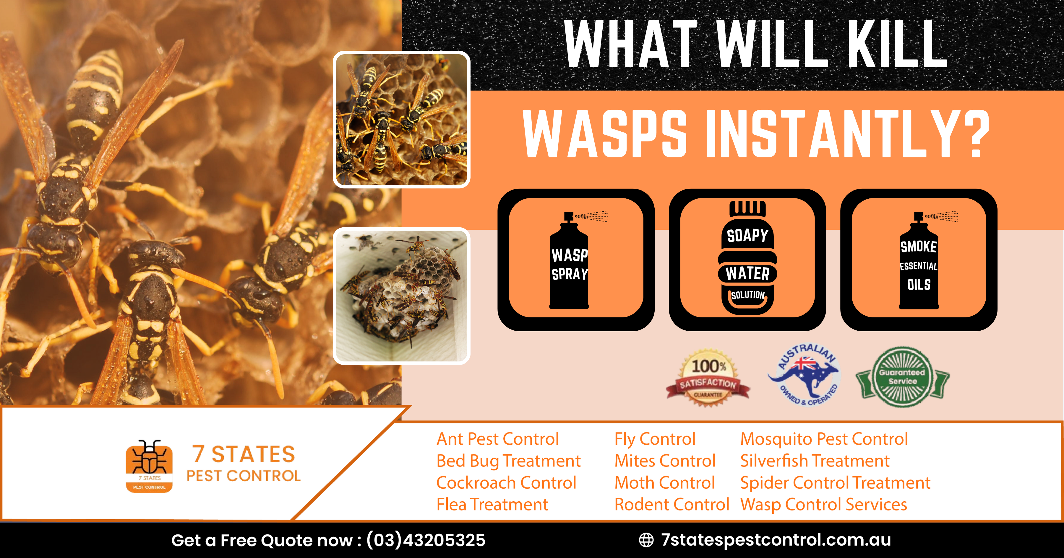 melbourne wasp removal