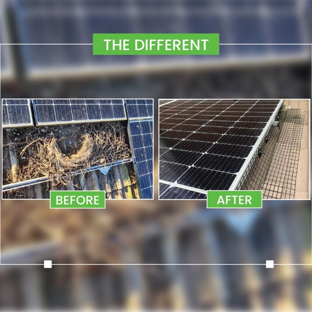 Before and After solar panel