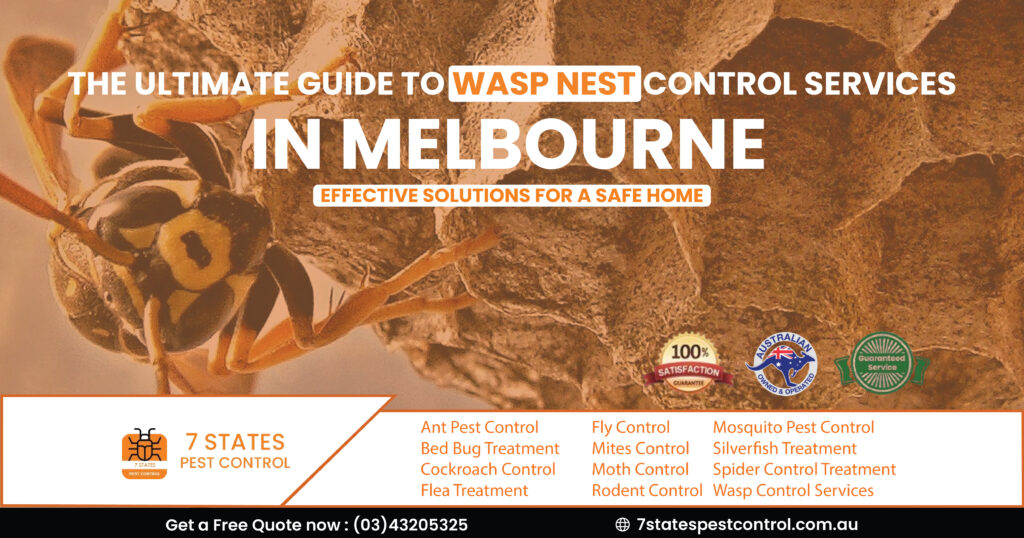 wasp nest control services melbourne