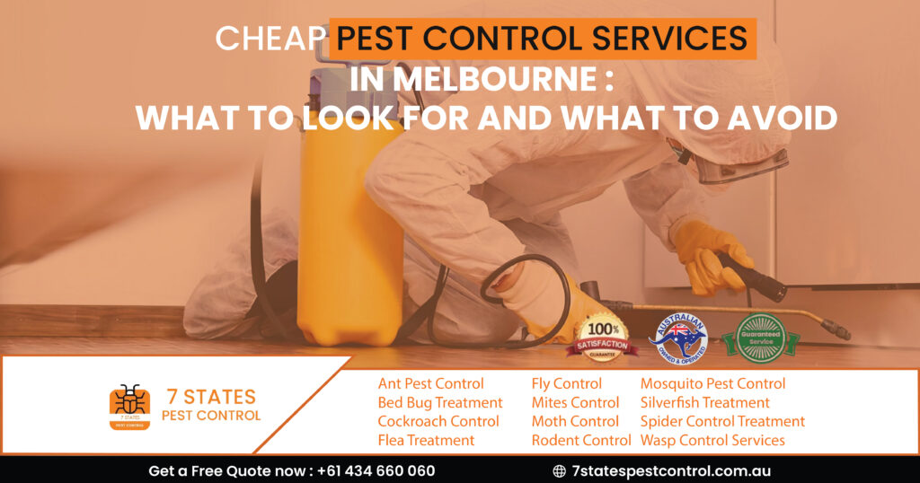  Cheap Pest Control Services in Melbourne: What to Look for and What to Avoid 