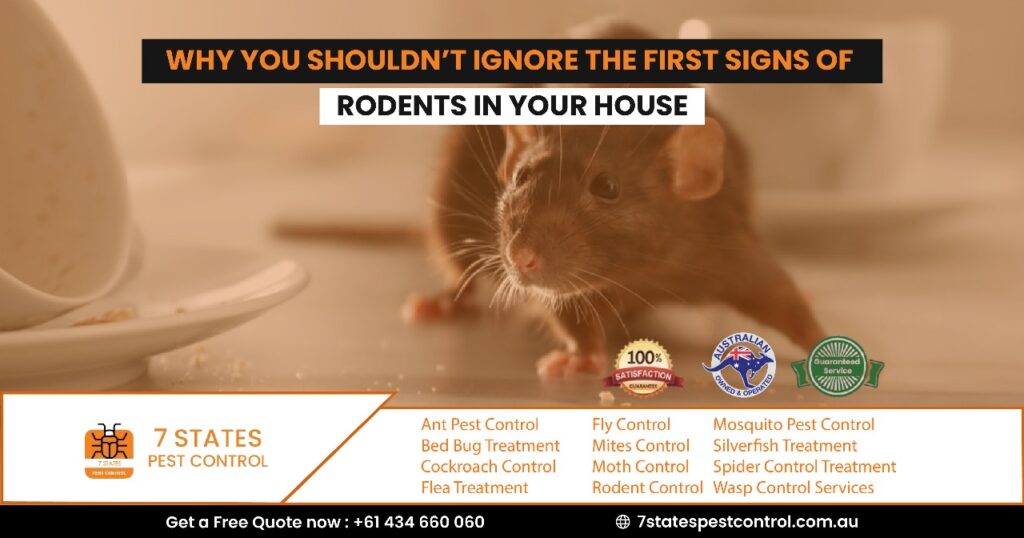 rodent control in melbourne