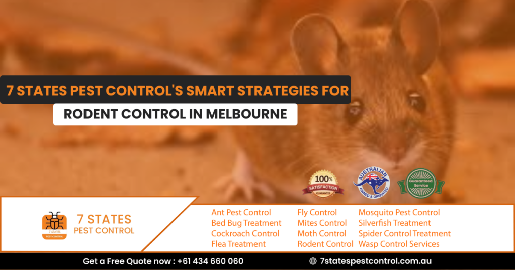 rodent control in melbourne