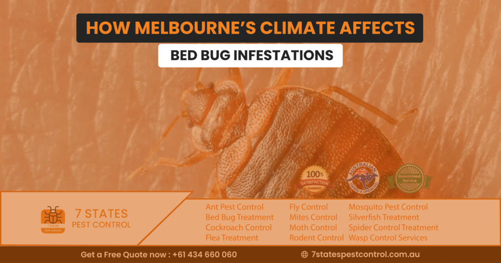 bed bug exterminator melbourne