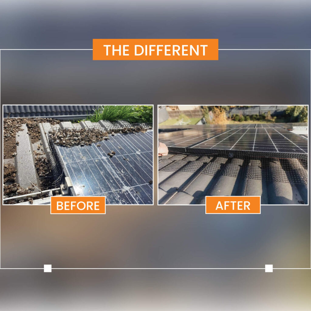 solar panel bird proofing melbourne