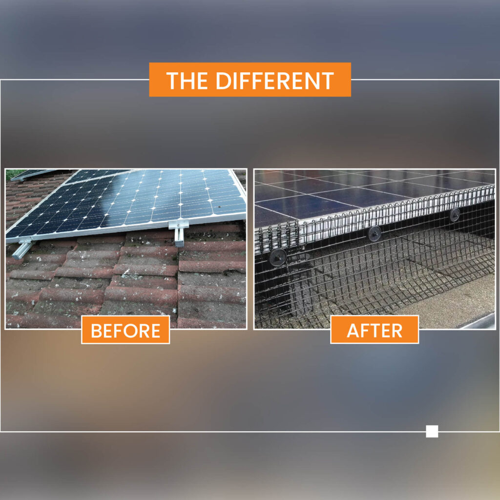 solar panel bird proofing melbourne