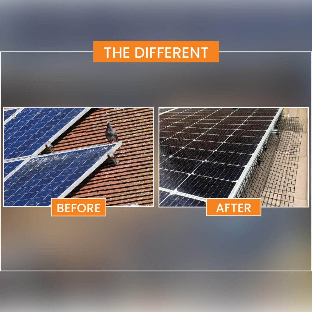 solar panel bird proofing melbourne