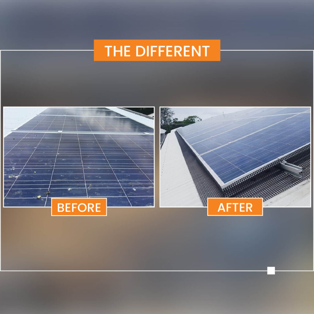 solar panel bird proofing melbourne