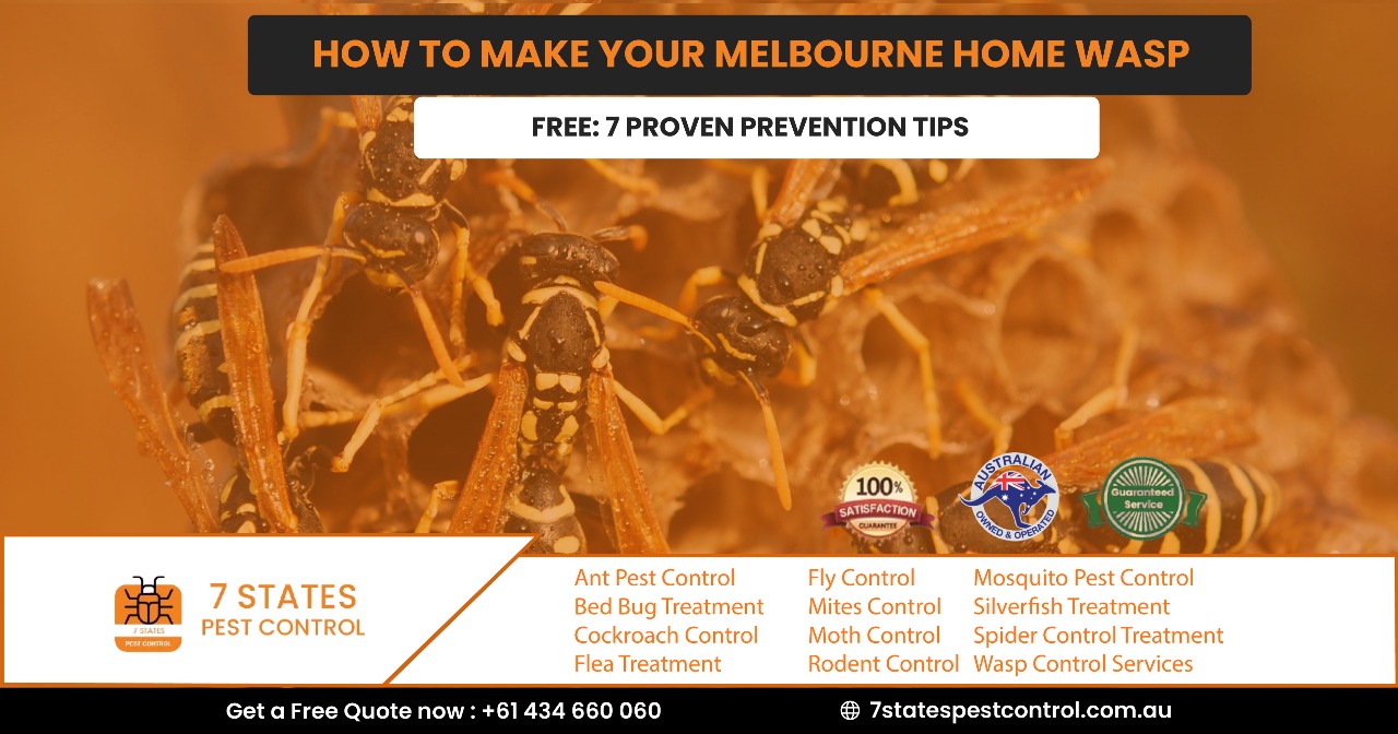 wasp nest control melbourne