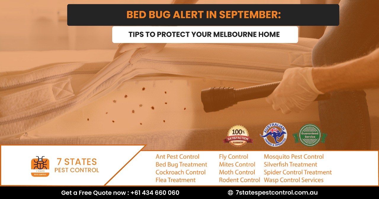 bed bug treatment melbourne