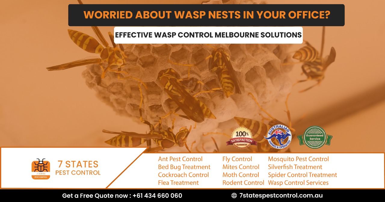 wasp control melbourne
