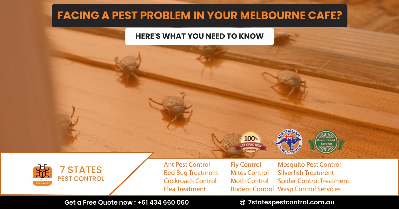 pest removal melbourne
