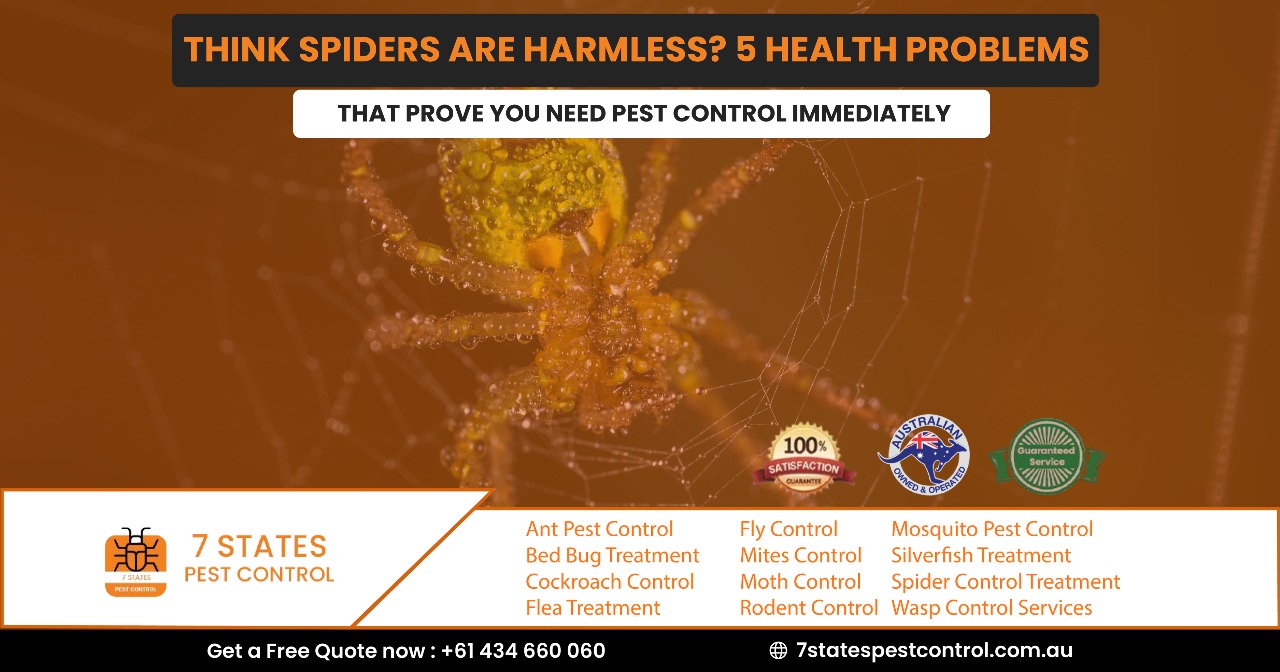 spider removal service