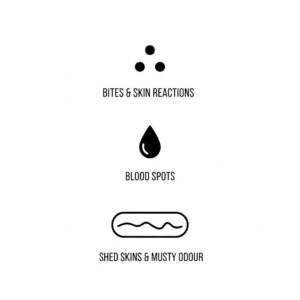 bedbugs control melbourne