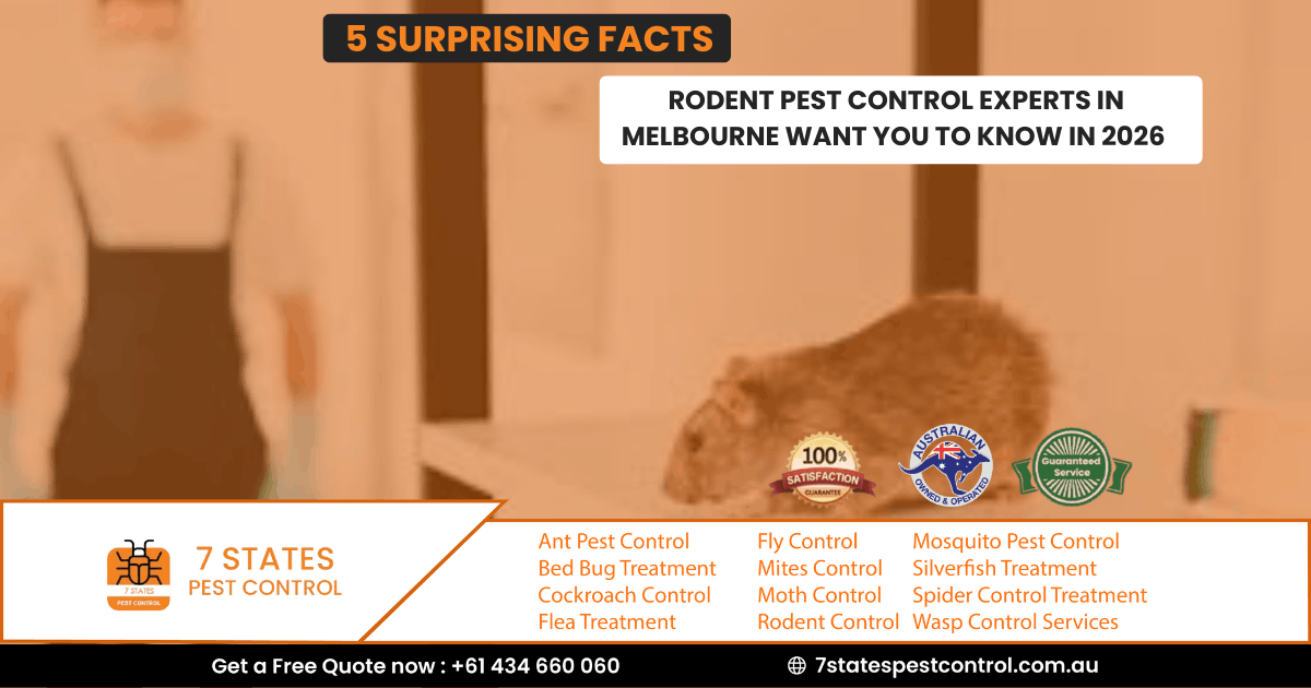5  Surprising Facts Rodent Pest Control Experts in Melbourne Want You to Know in 2026