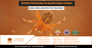 Spider Pest Control Melbourne