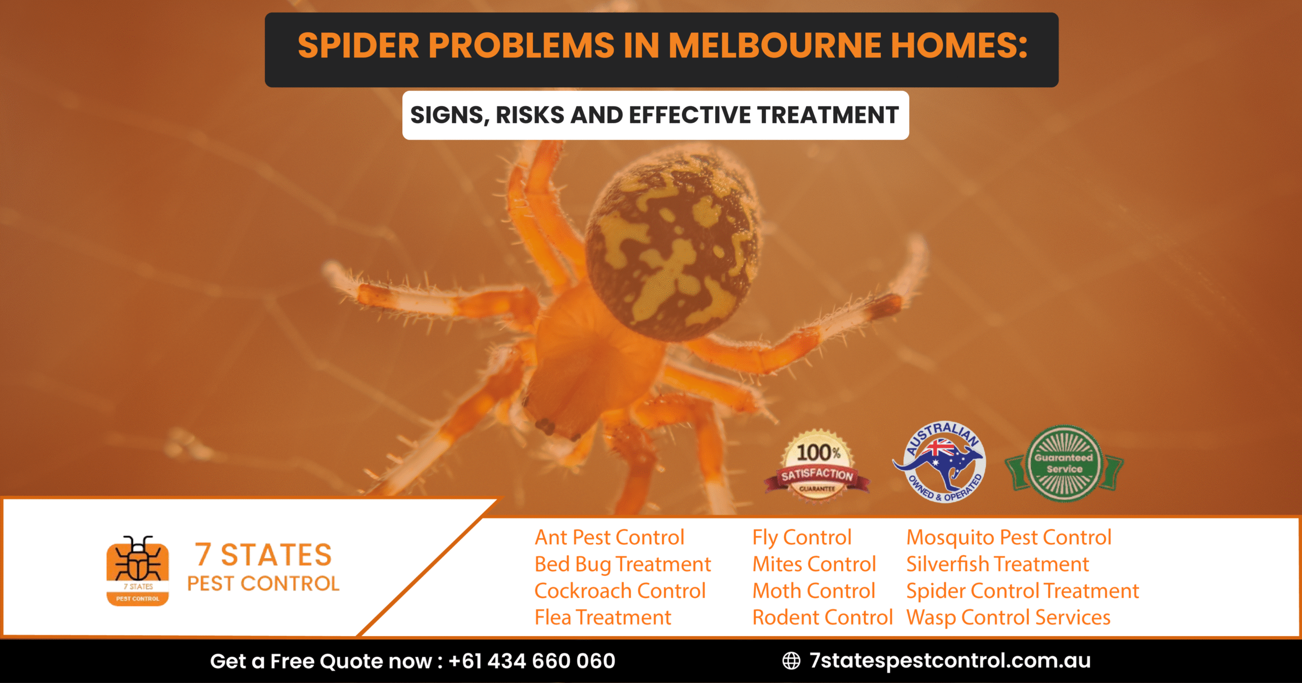 Spider Problems in Melbourne Homes: Signs, Risks and Effective Treatment