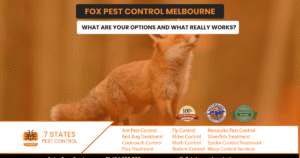 Fox Pest Control Melbourne