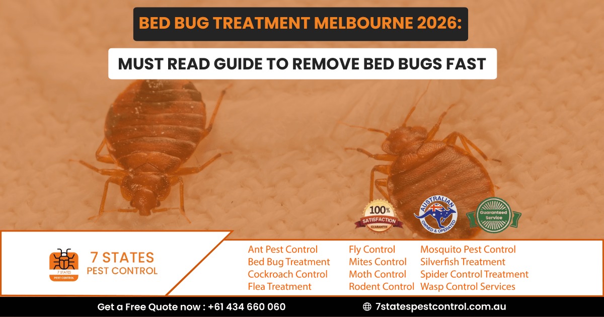 Bed Bug Treatment Melbourne 2026: Must Read Guide to Remove Bed Bugs Fast