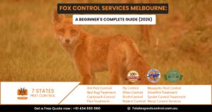 fox removal experts melbourne
