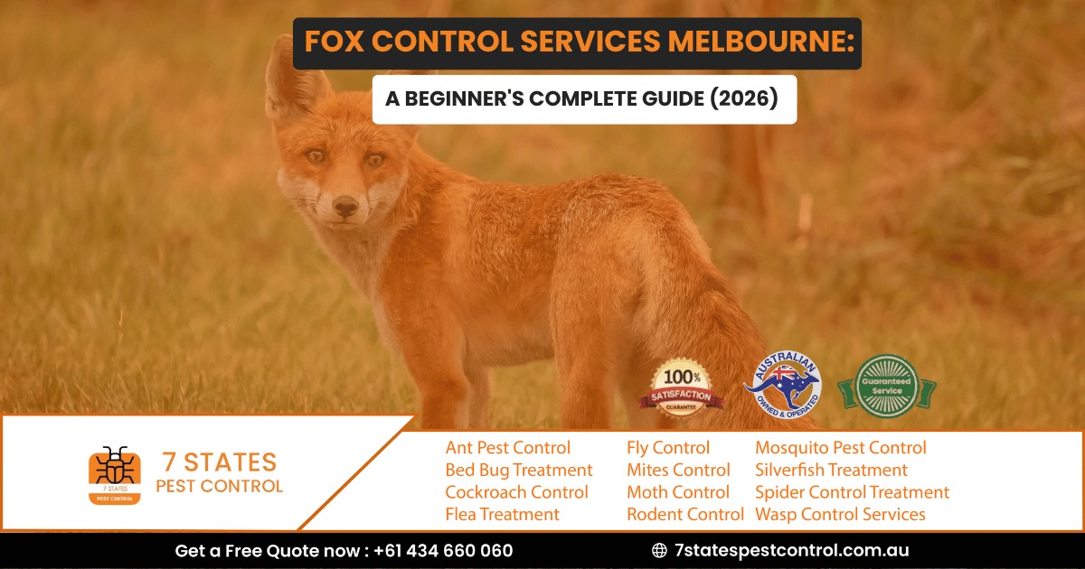 Fox Control Services Melbourne: A Beginner’s Complete Guide (2026)