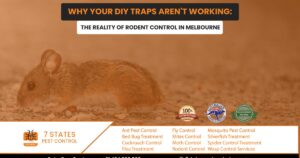 mice pest control melbourne