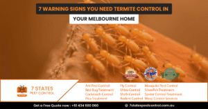 Termite Control Melbourne: