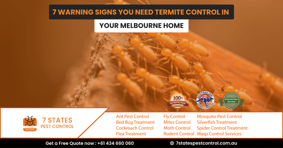 7 Warning Signs You Need Termite Control in Your Melbourne Home