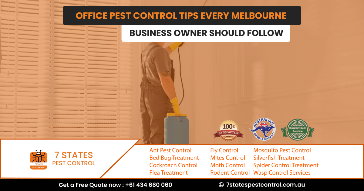 Office Pest Control Tips Every Melbourne Business Owner Should Follow