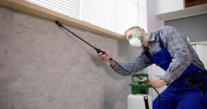 Termite Control Melbourne: