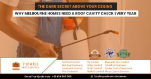 pest control service in melbourne