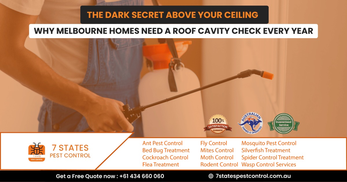 The Dark Secret Above Your Ceiling — Why Melbourne Homes Need a Roof Cavity Check Every Year