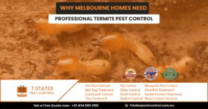 termite pest control