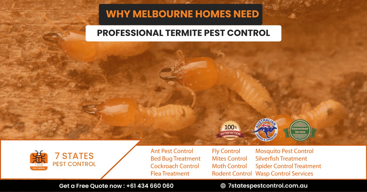Why Melbourne Homes Need Professional Termite Pest Control