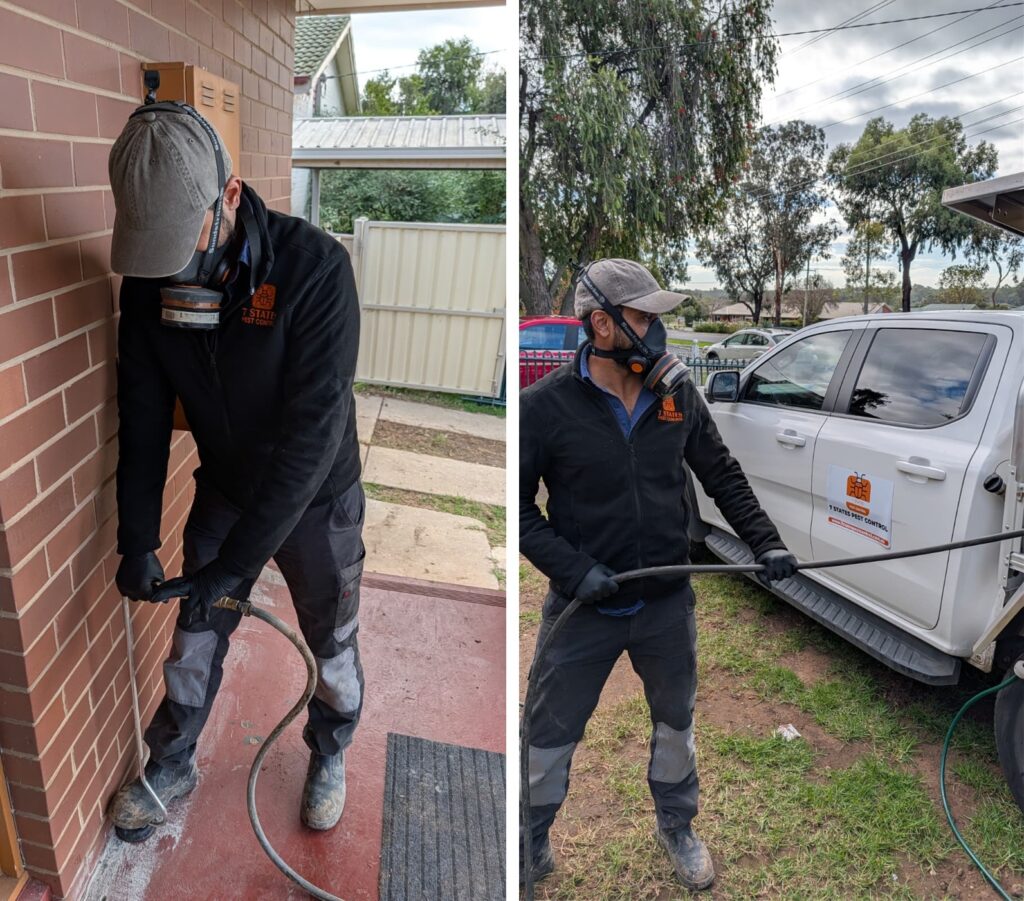 7 states pest control