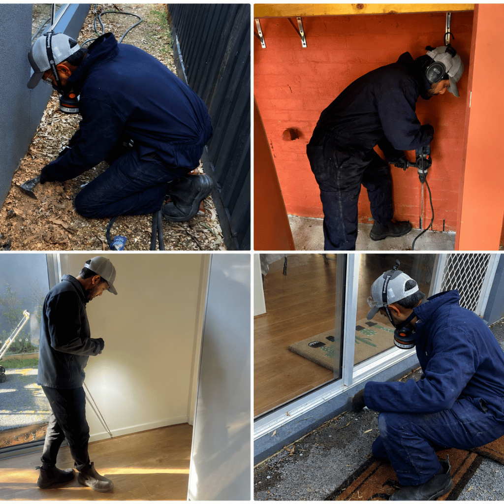 termite control melbourne
