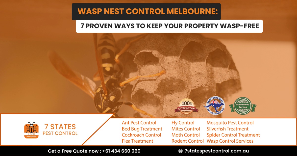 Wasp Nest Control Melbourne: 7 Proven Ways to Keep Your Property Wasp-Free