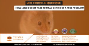 rodent control in melbourne