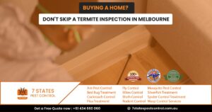 termite specialist melbourne