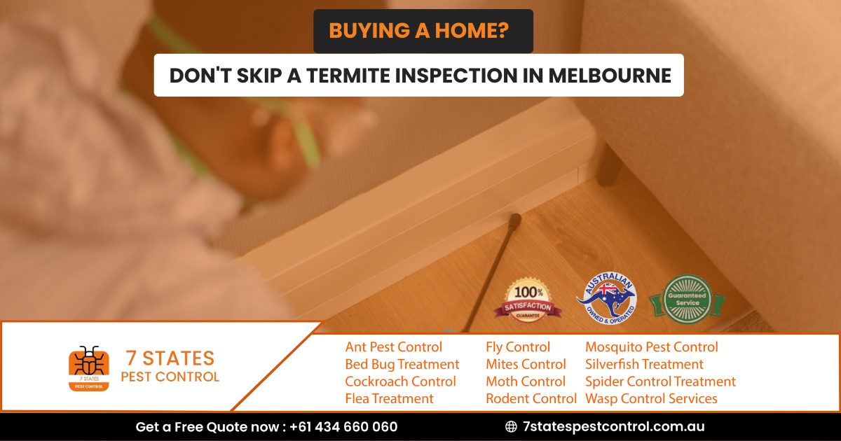 Buying a Home? Don’t Skip a Termite Inspection in Melbourne