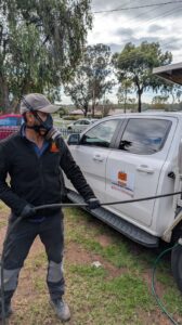 mice control in melbourne